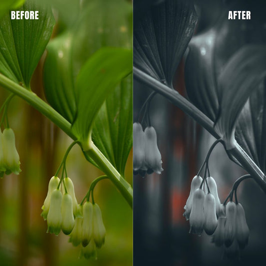 MPP - Deep BW with Reds Preset Pack