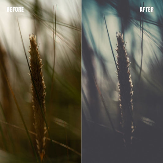 MPP - Polaroid Preset Pack