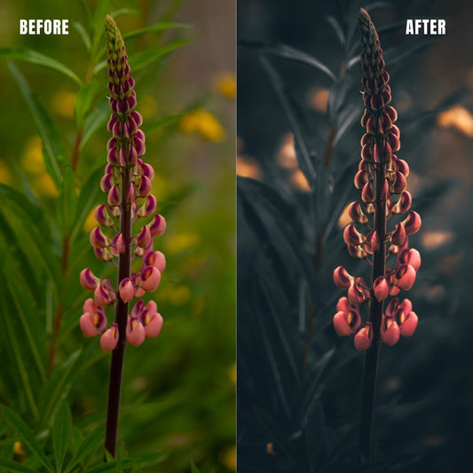 MPP - Brownie Preset Pack