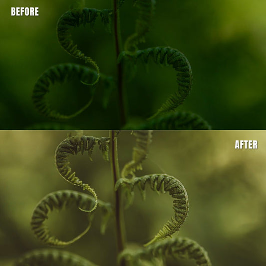 MPP - Earth Bound Preset Pack