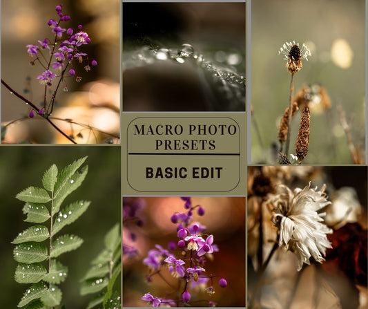 MPP - Signature Collection - ALL Preset Packs