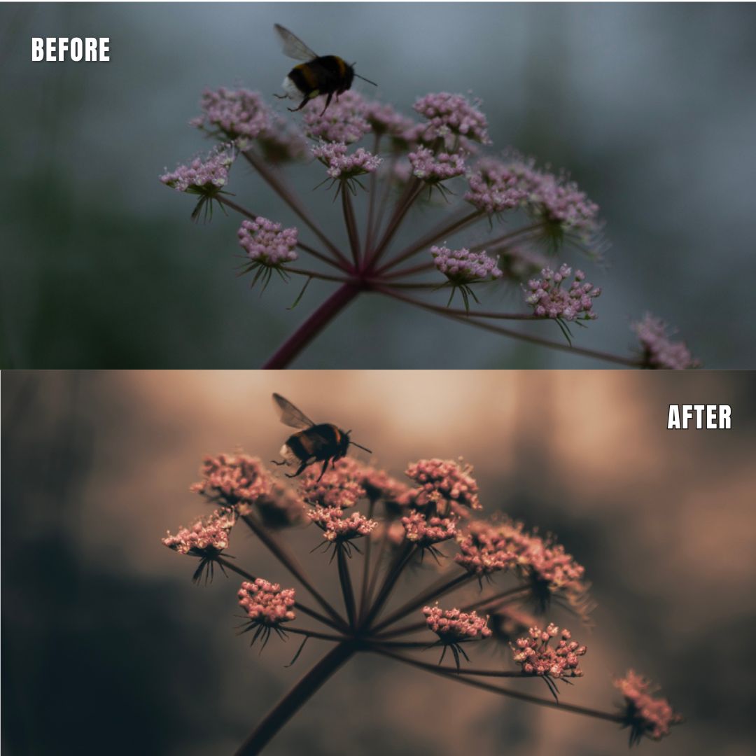 MPP - Brownie Preset Pack