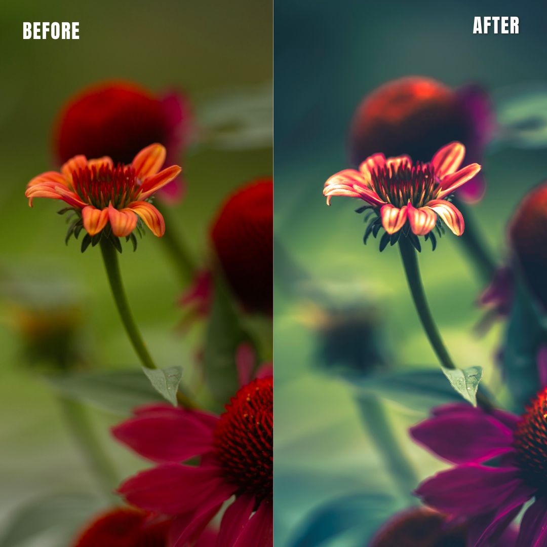 MPP - Water Color Preset Pack