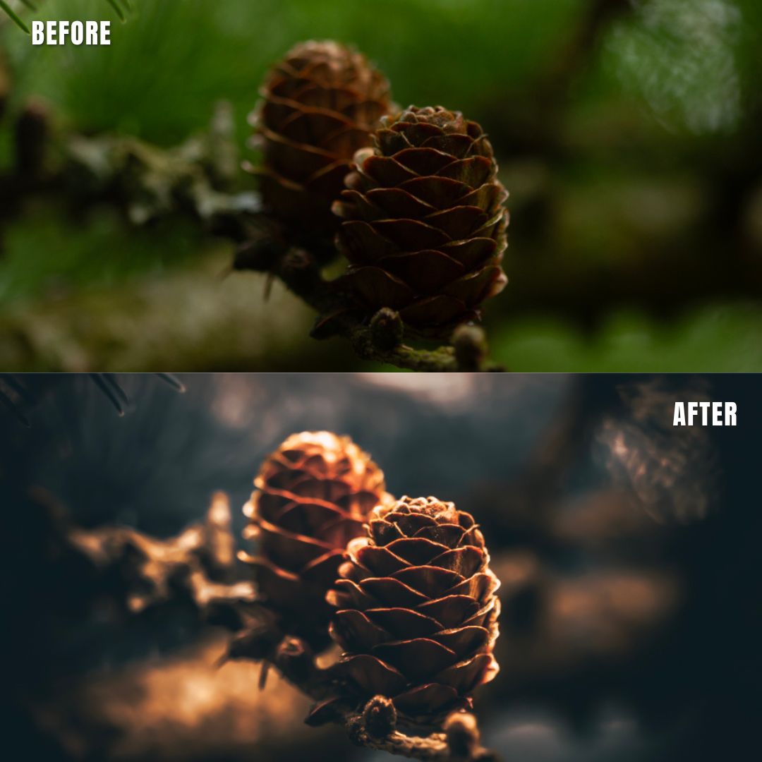 MPP - Golden Brownie Preset Pack