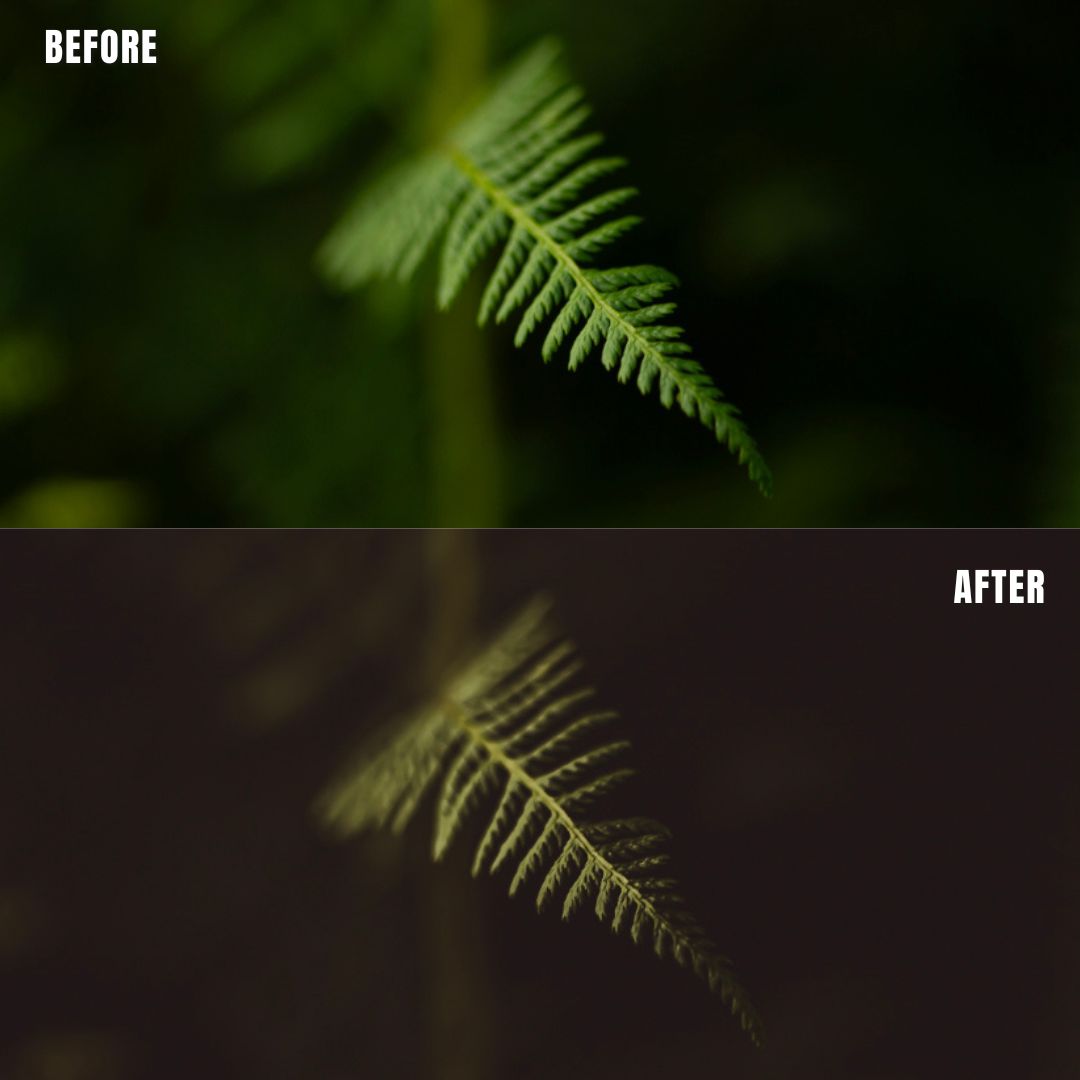 MPP - Earth Bound Preset Pack