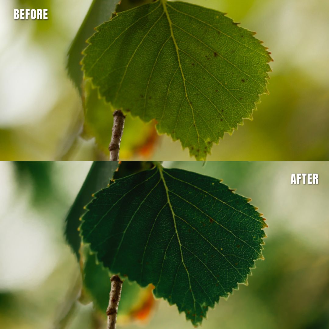 MPP - Rich Greens Preset Pack