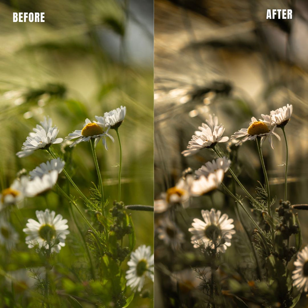 MPP - Natural Greentones with Warmth Preset Pack
