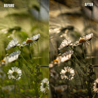 MPP - Natural Greentones with Warmth Preset Pack