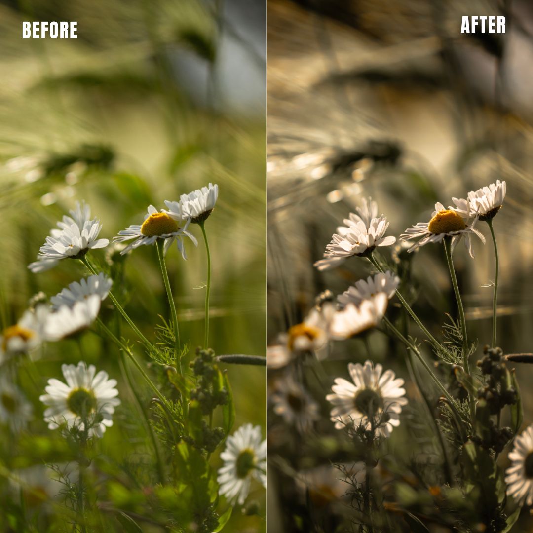 MPP - Natural Greentones with Warmth Preset Pack