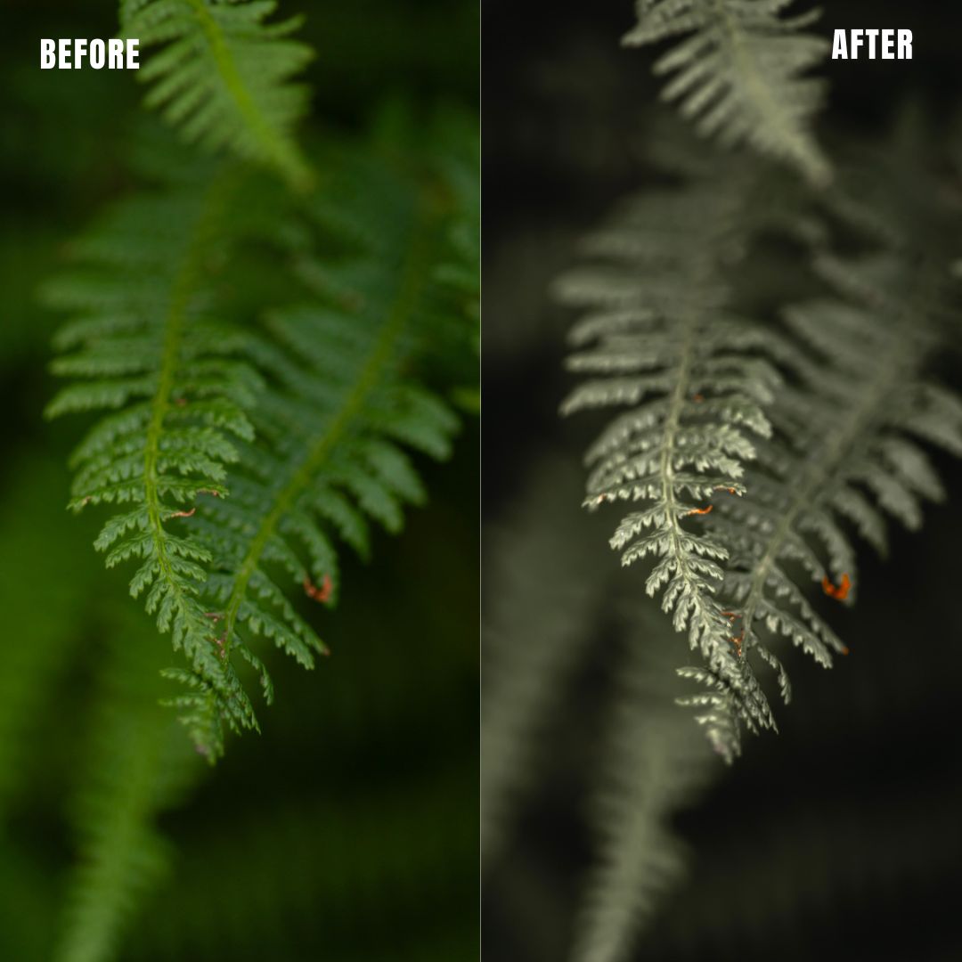 MPP - Muted Greens Preset Pack