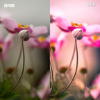 MPP - Pastels Preset Pack