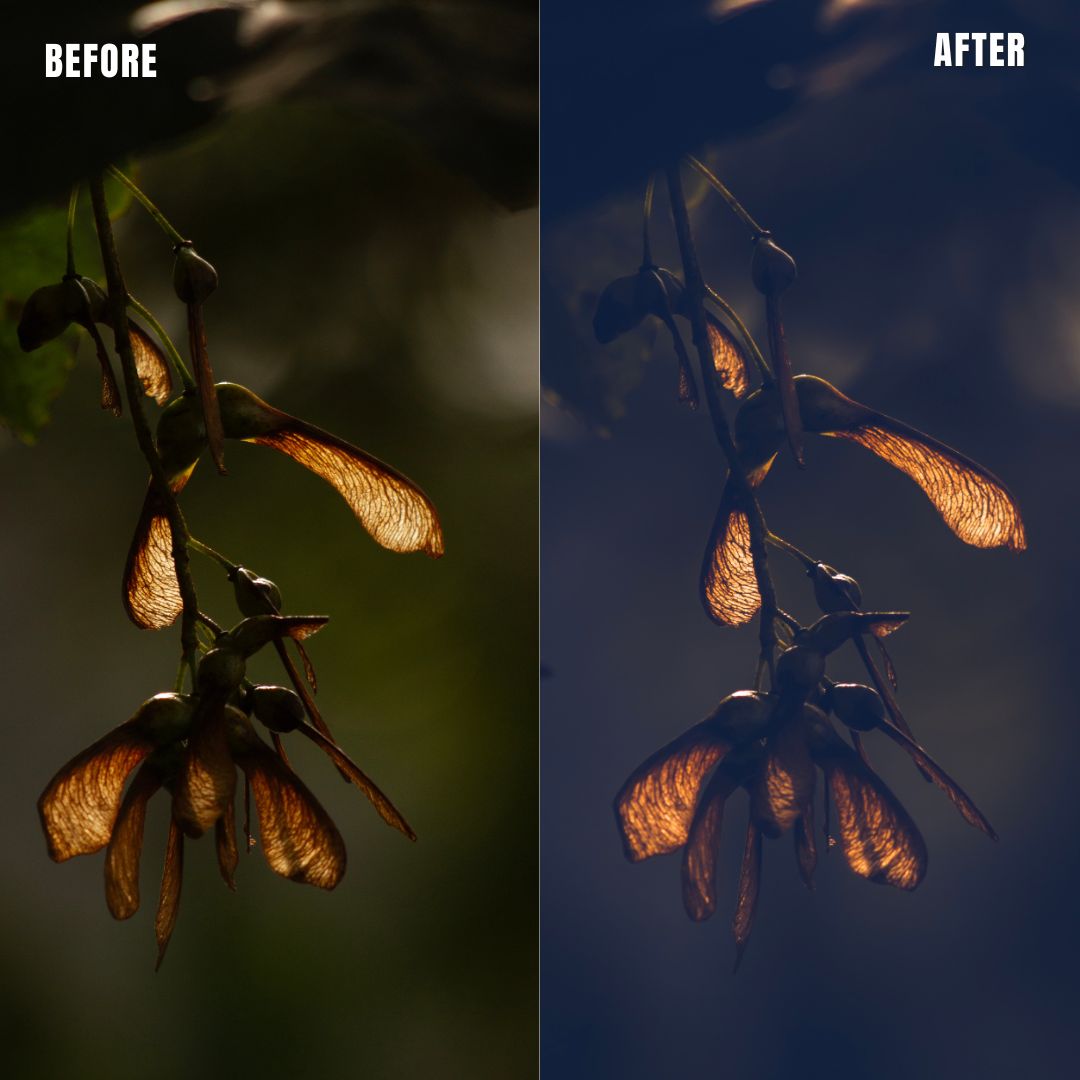 MPP - Moody Preset Pack