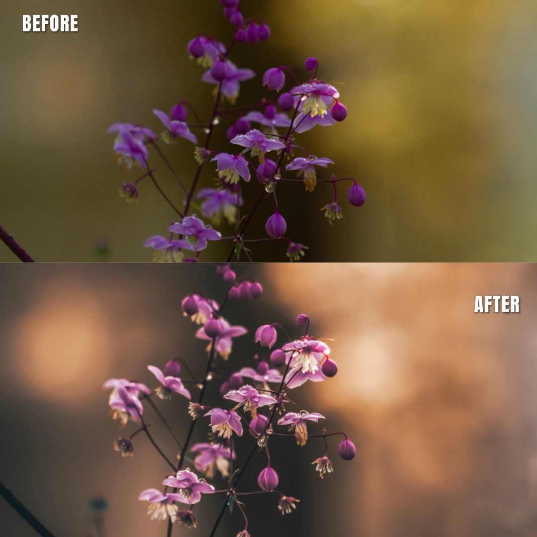 MPP - Brownie Preset Pack