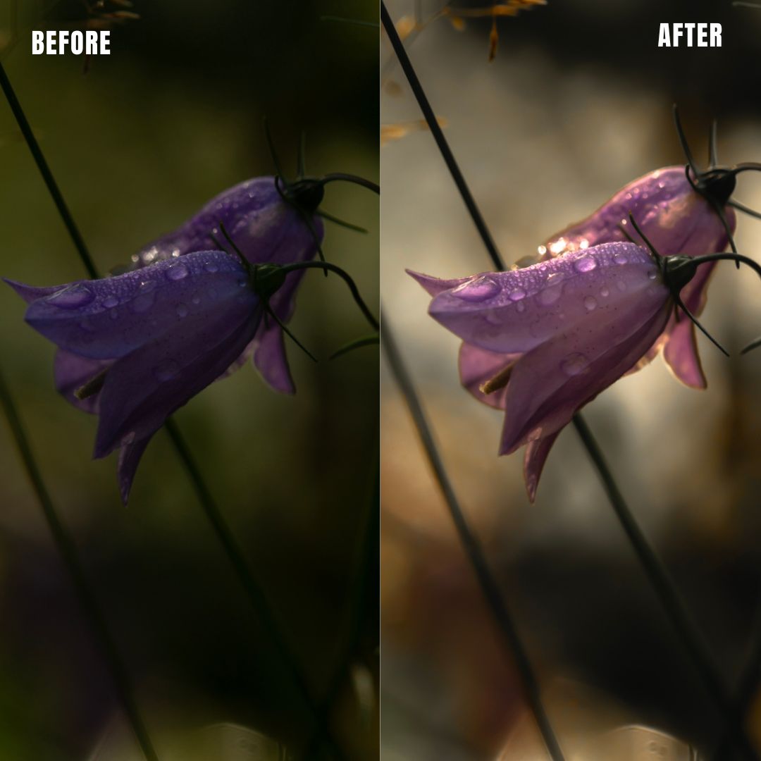 MPP - Muted Greens Preset Pack