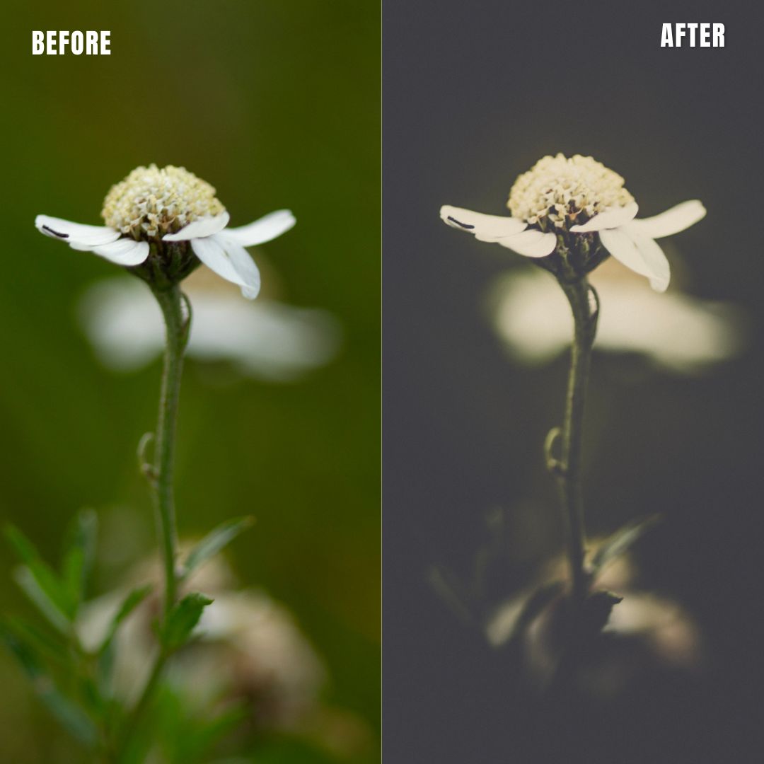 MPP - Polaroid Preset Pack