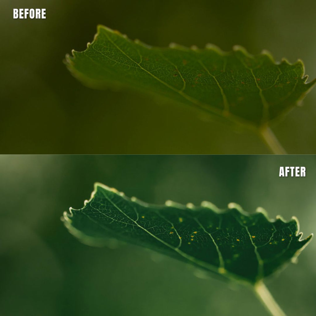 MPP - Rich Greens Preset Pack