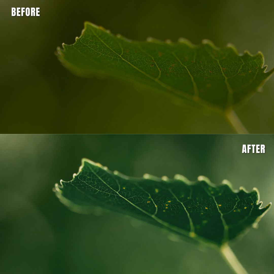 MPP - Rich Greens Preset Pack