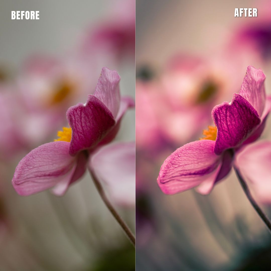 MPP - Pastels Preset Pack