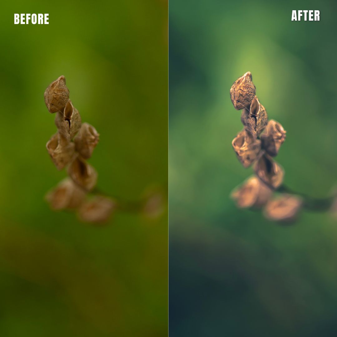 MPP - Water Color Preset Pack
