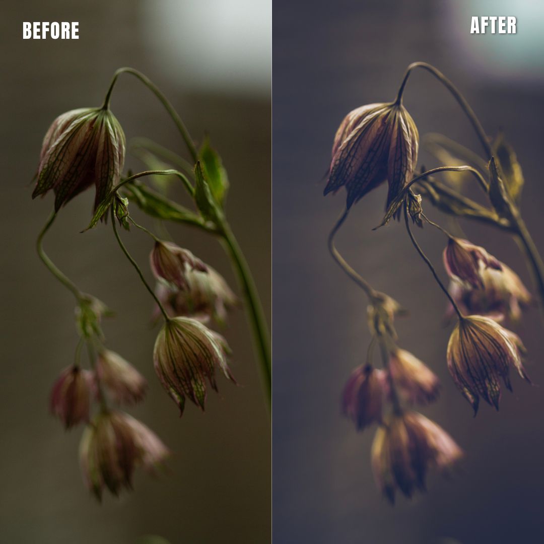 MPP - Moody Preset Pack