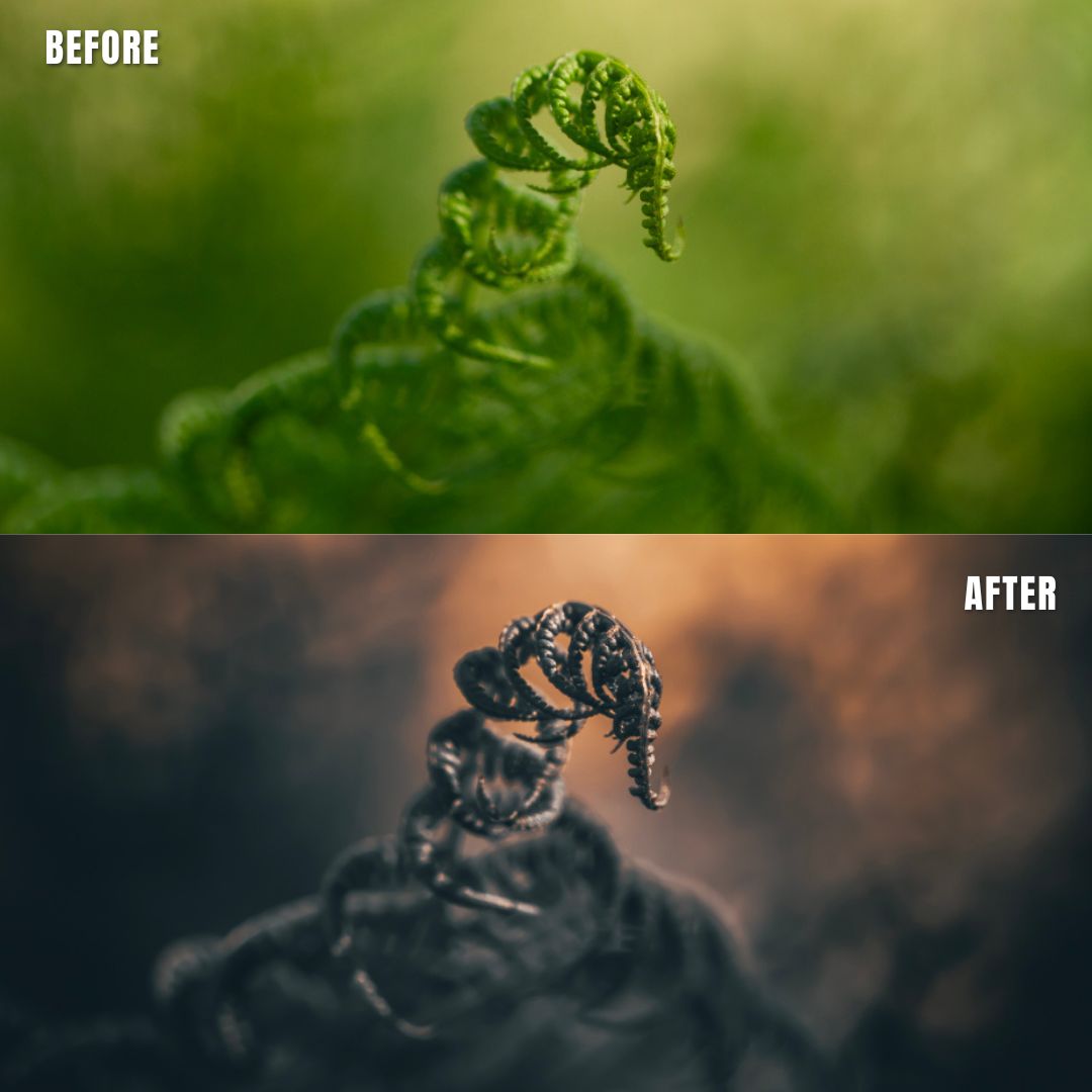 MPP - Golden Brownie Preset Pack