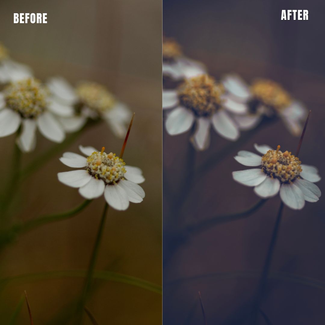 MPP - Moody Preset Pack