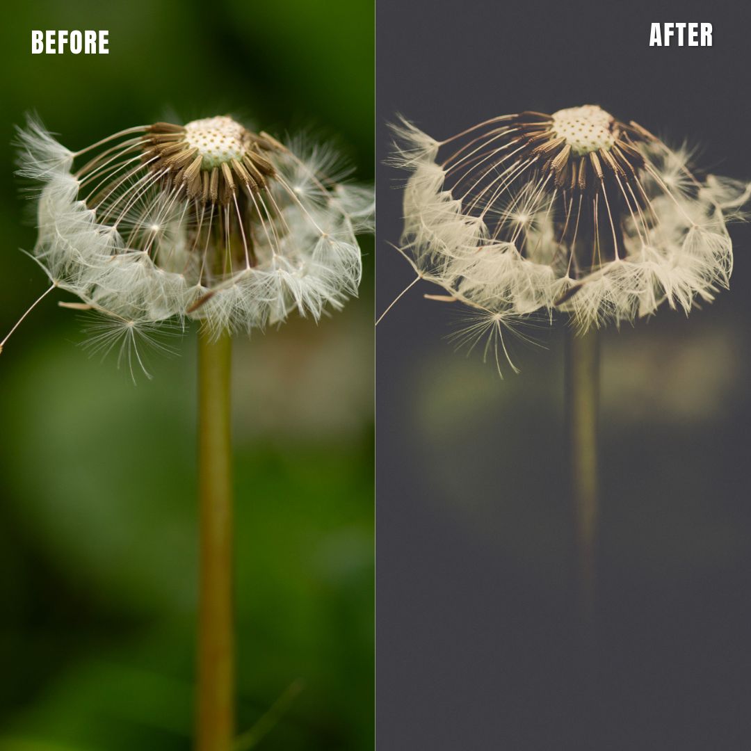 MPP - Polaroid Preset Pack