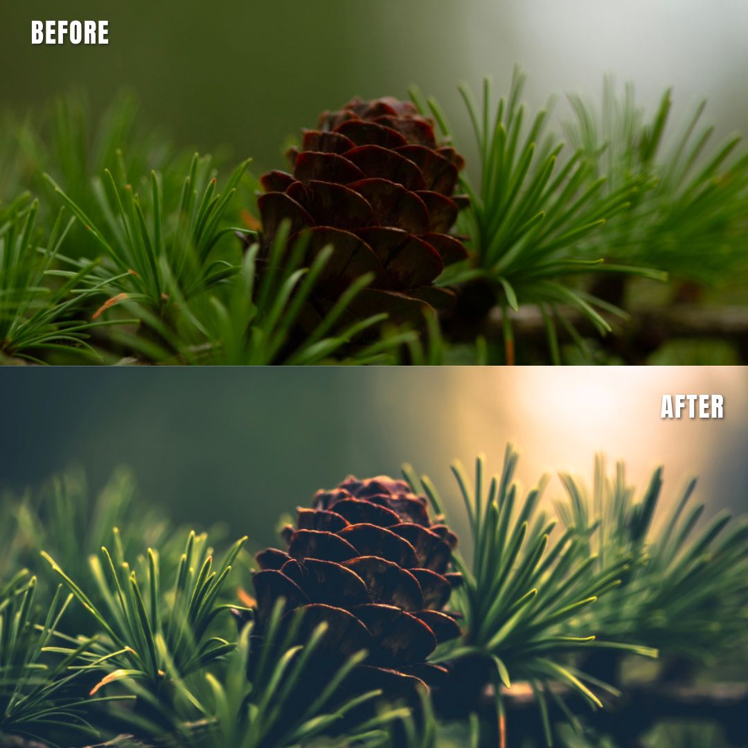 MPP - Water Color Preset Pack