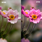 MPP - Pastels Preset Pack