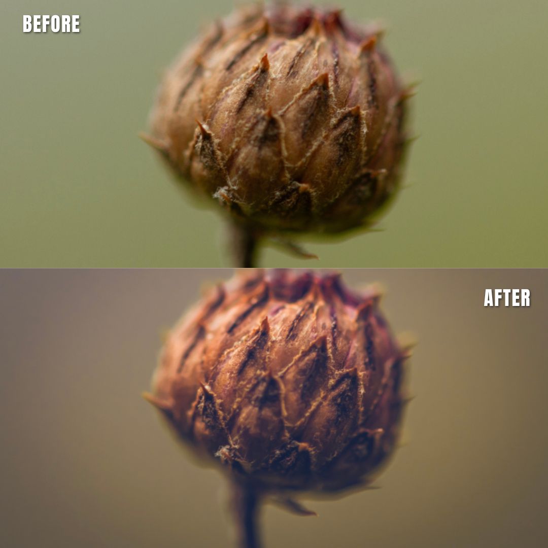 MPP - Moody Preset Pack