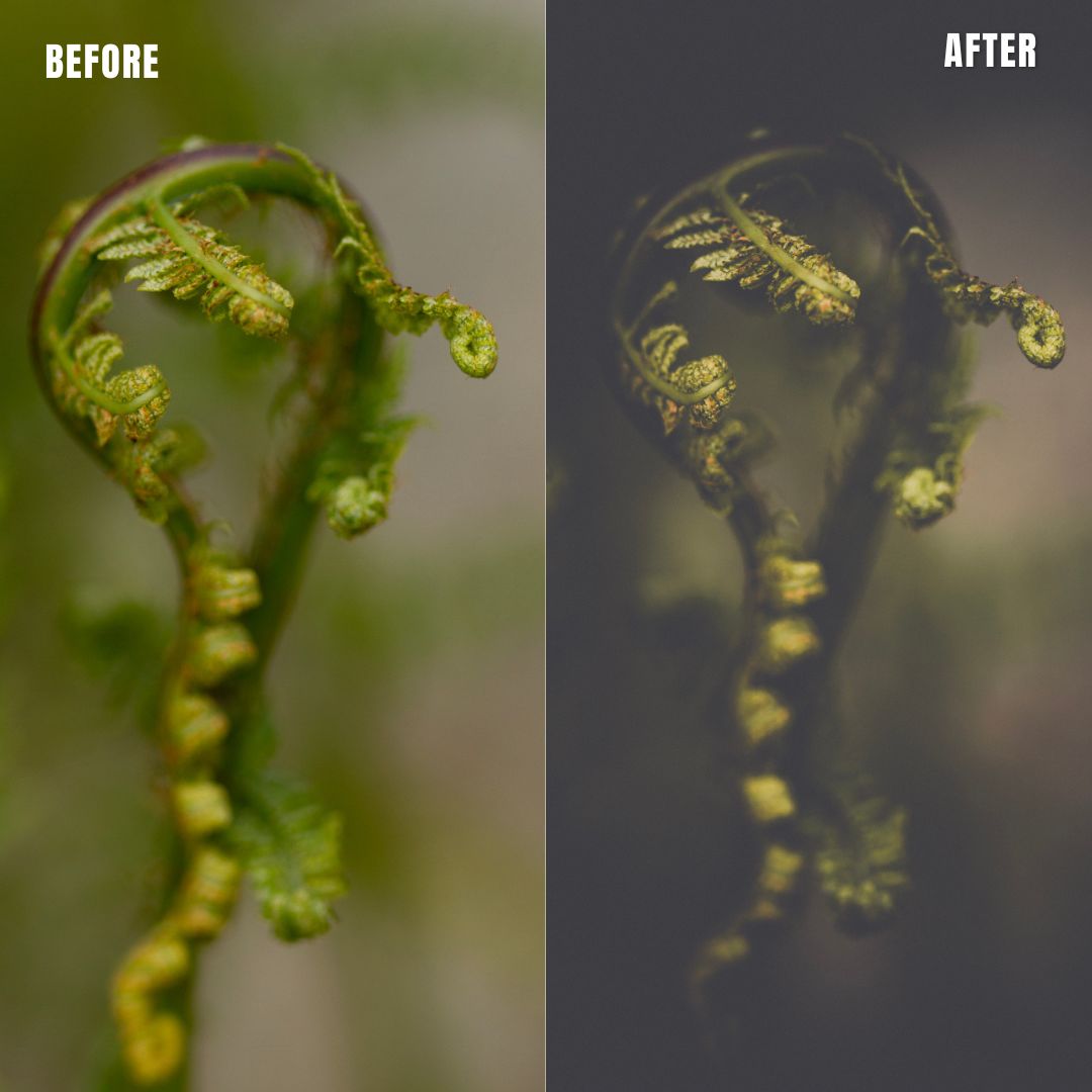 MPP - Polaroid Preset Pack