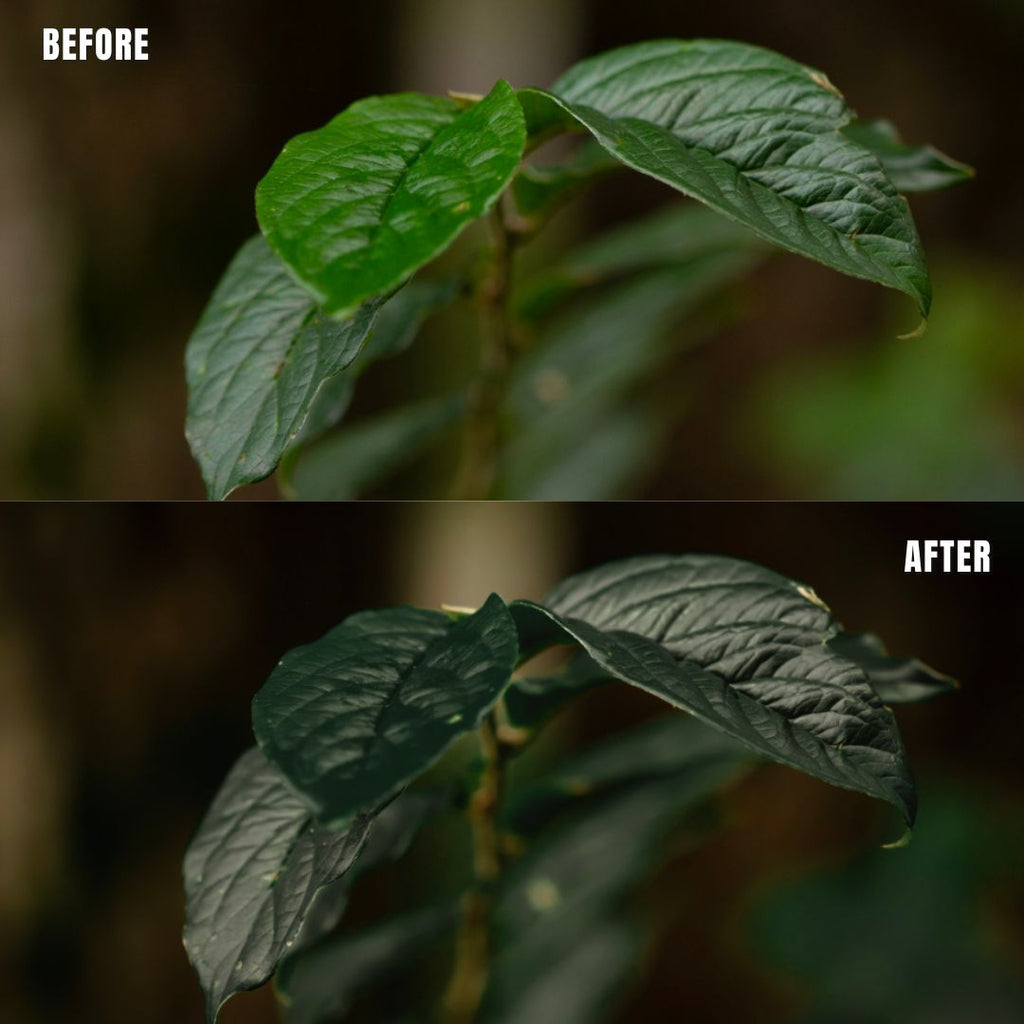 MPP - Rich Greens Preset Pack