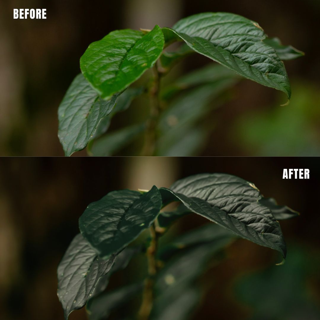 MPP - Rich Greens Preset Pack