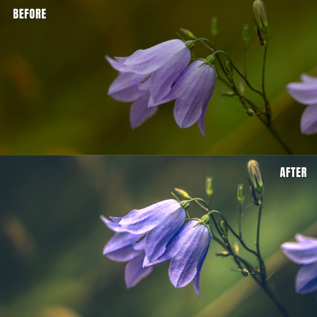 MPP - Water Color Preset Pack