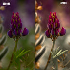 MPP - Muted Greens Preset Pack