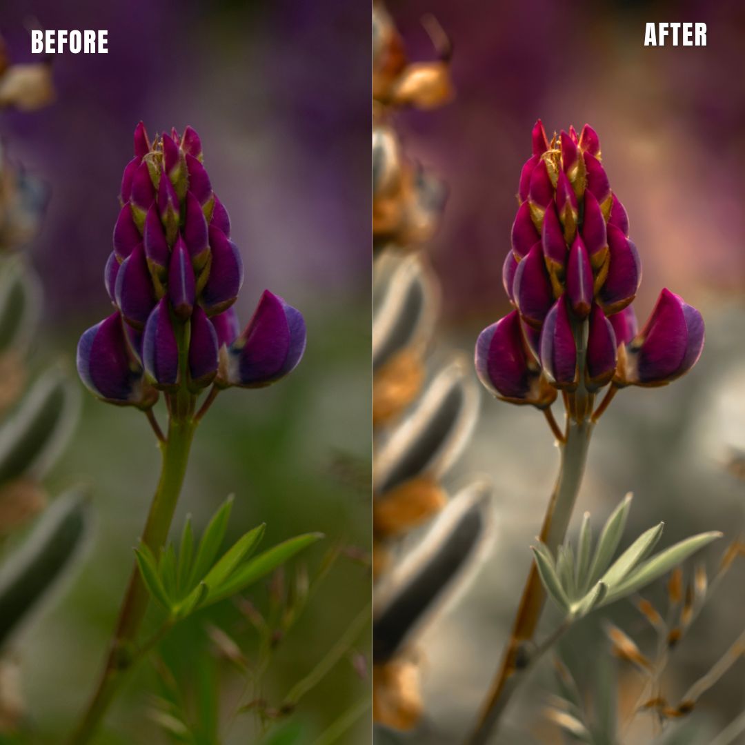 MPP - Muted Greens Preset Pack