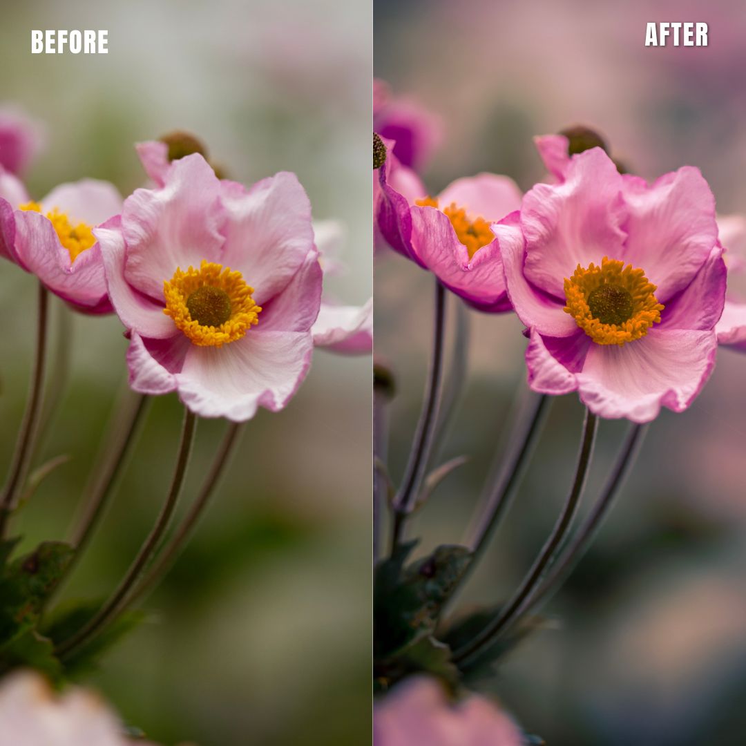 MPP - Pastels Preset Pack