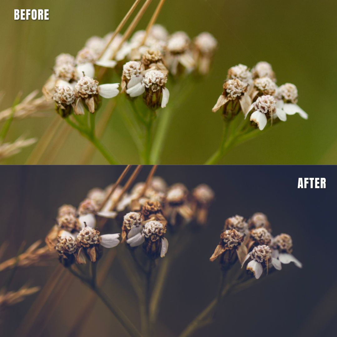 MPP - Moody Preset Pack