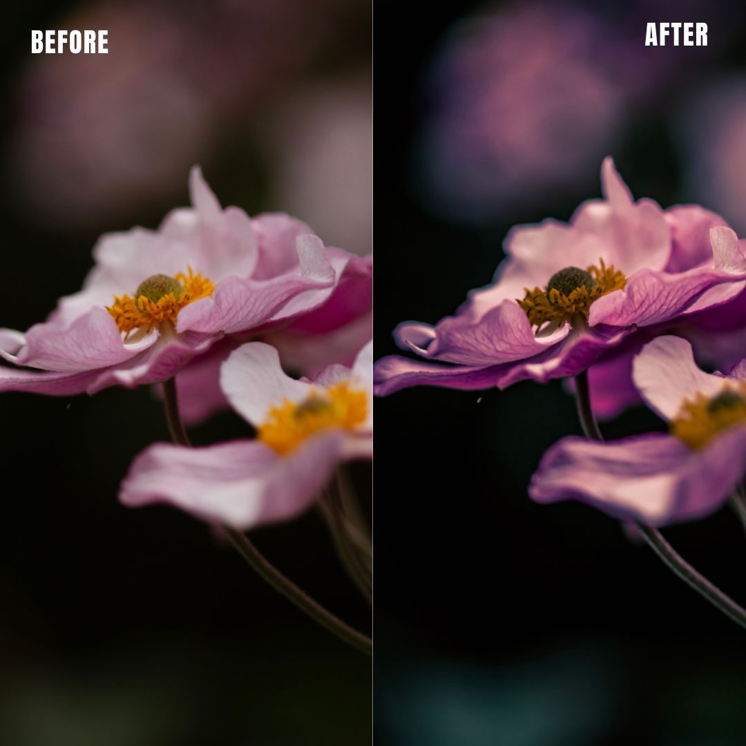 MPP - Pastels Preset Pack