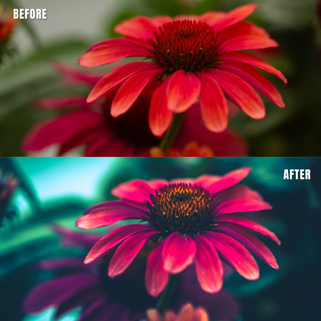 MPP - Water Color Preset Pack