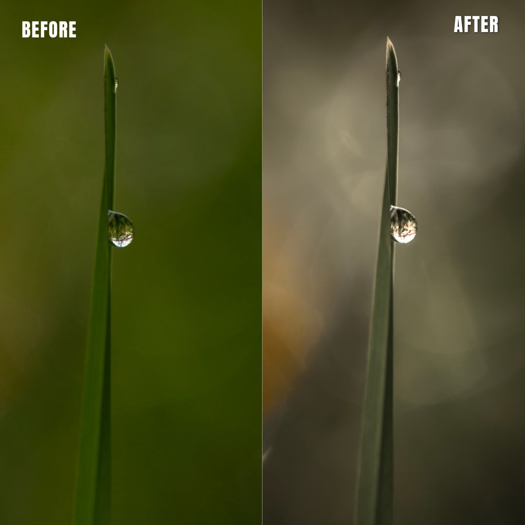 MPP - Muted Greens Preset Pack