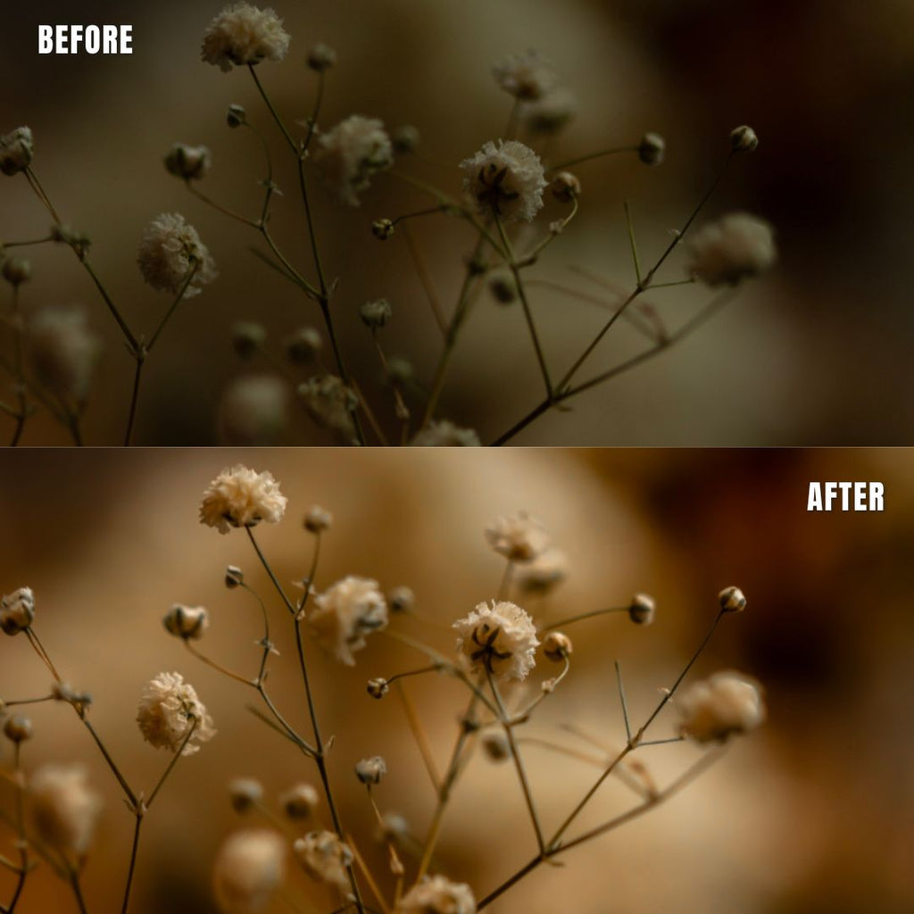 MPP - Natural Greentones with Warmth Preset Pack