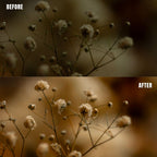 MPP - Natural Greentones with Warmth Preset Pack