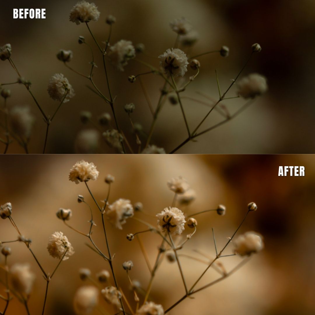 MPP - Natural Greentones with Warmth Preset Pack