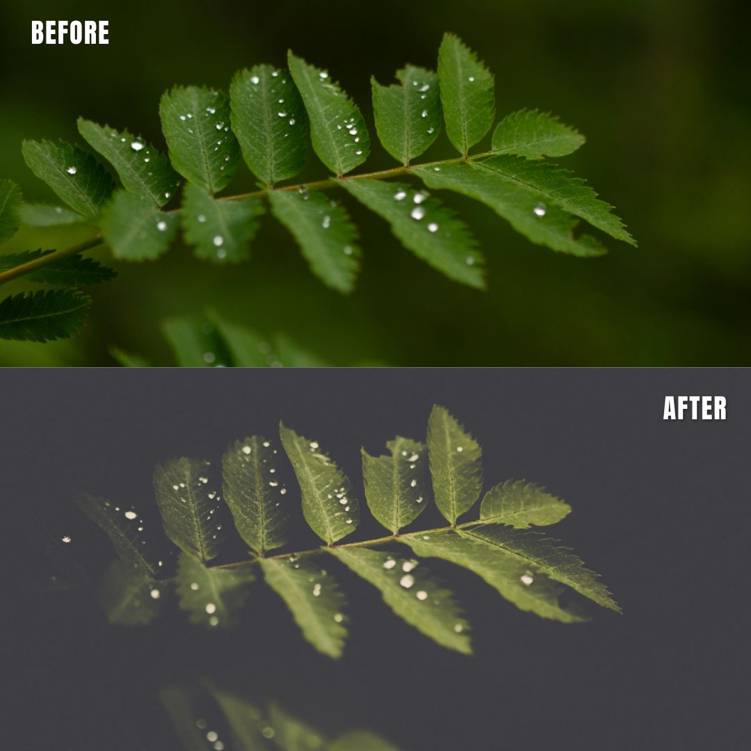 MPP - Polaroid Preset Pack