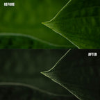 MPP - Rich Greens Preset Pack