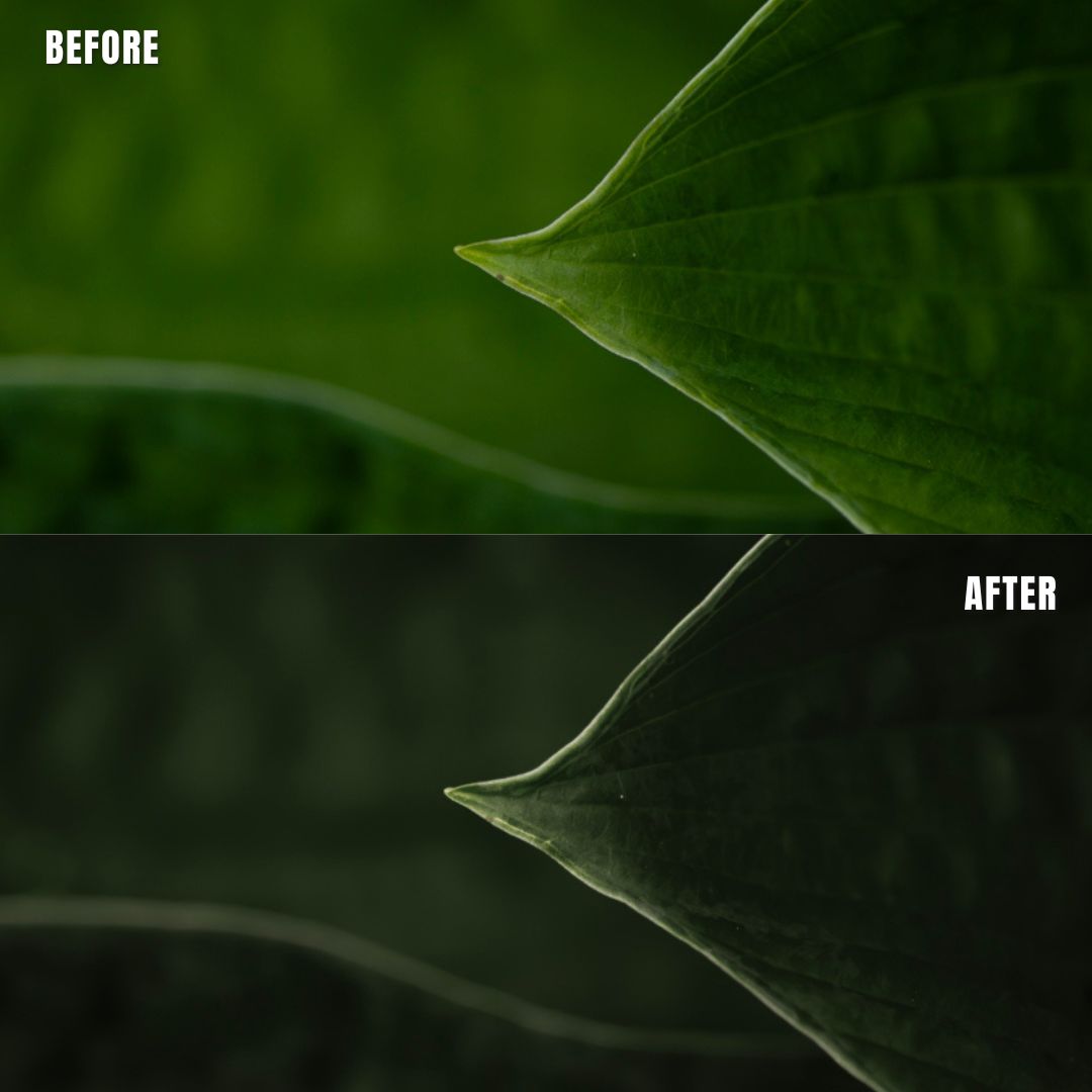 MPP - Rich Greens Preset Pack