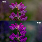 MPP - Pastels Preset Pack