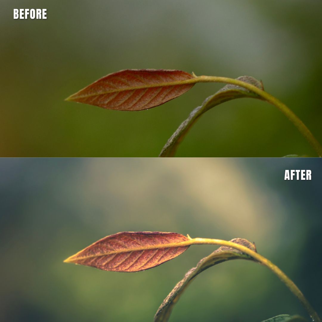 MPP - Water Color Preset Pack