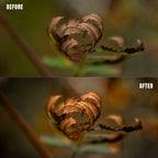 MPP - Natural Greentones with Warmth Preset Pack